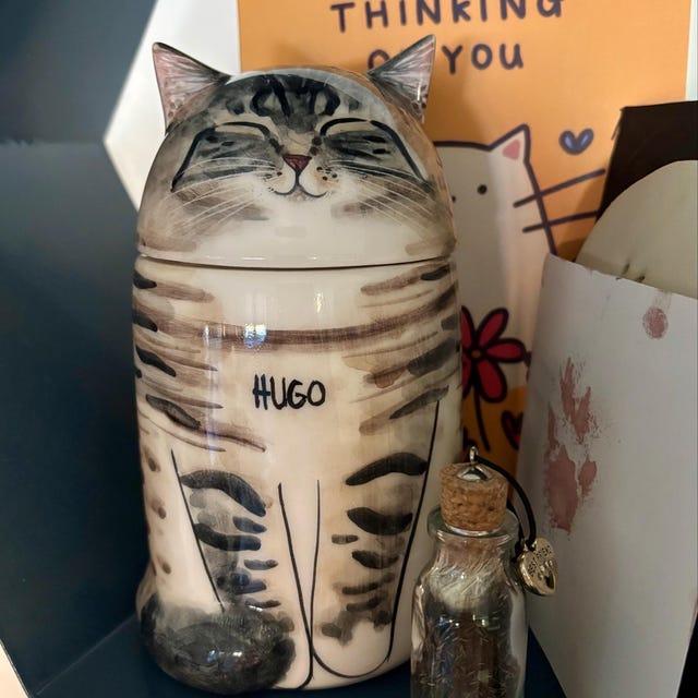 【オーダーメイド】世界に一つ 似顔絵 お名前入り ペット骨壷 ・うちの子・犬・猫 陶器製