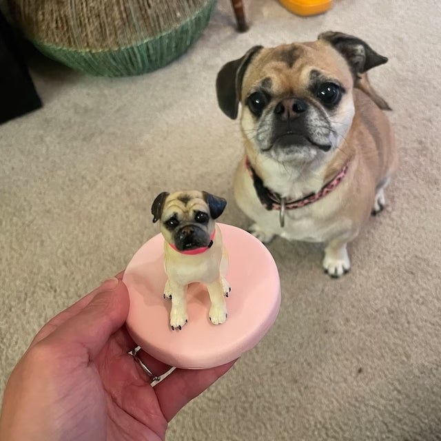 【オーダーメイド】世界に一つ 似顔絵 ペット フィギュア・ペット 写真 グッズ・うちの子・犬・猫