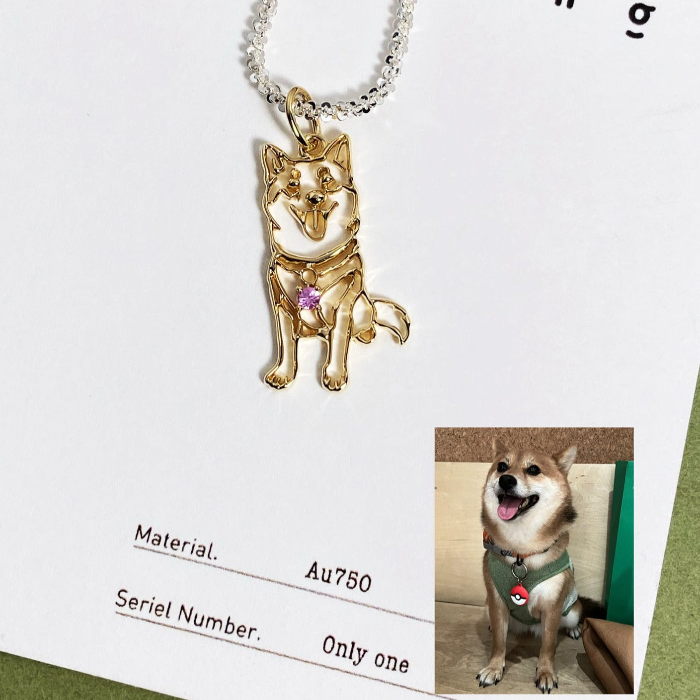 【オーダーメイド】世界に一つ ネックレス・ペット 写真 グッズ・うちの子・犬・猫・誕生石