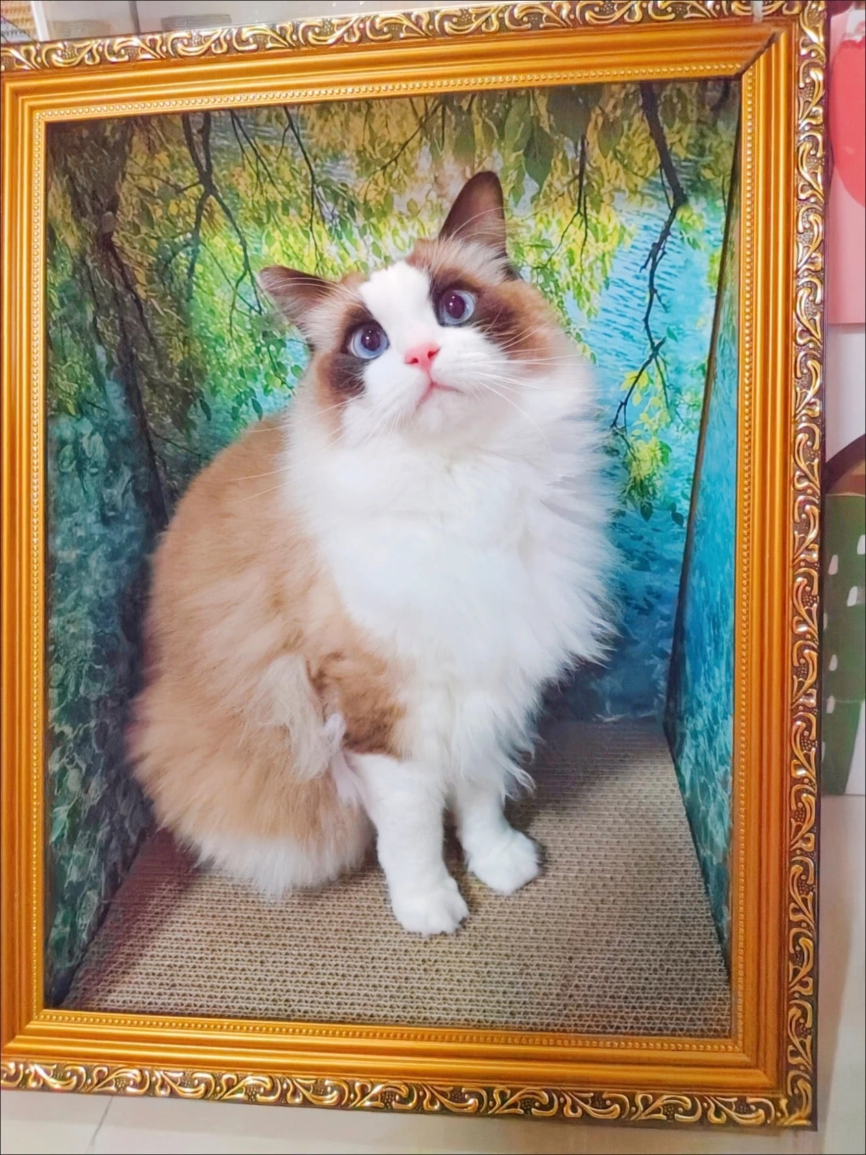 名画の中の猫 - アートキャットハウス・スクラッチャー | あなたのペットを世界に1つだけのアート作品に♪
