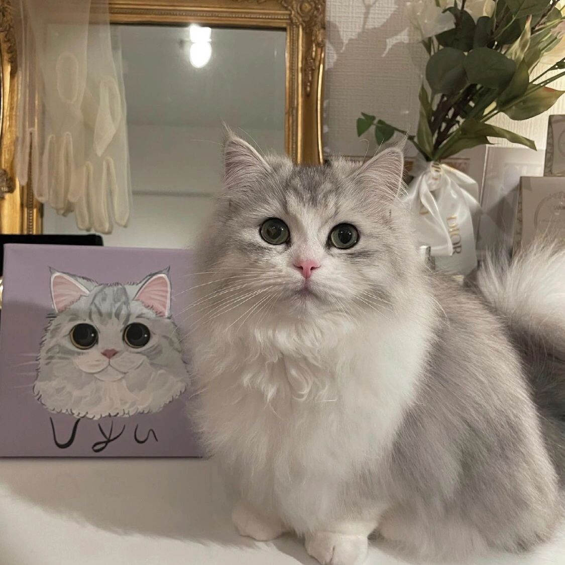 あなたのペットを世界に1つだけのアート作品に♪ | ペットイラスト | ペット似顔絵 | 犬 猫 うちの子