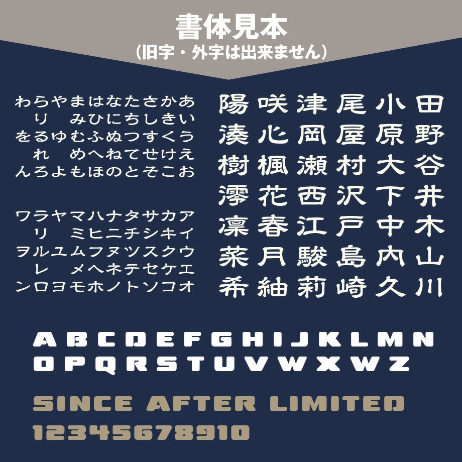 家族でお揃いTシャツを着よう!名前入り t シャツ【3枚セット】