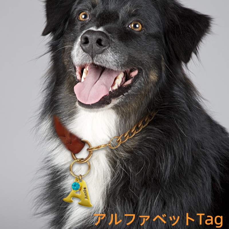 【オーダーメイド】世界に一つ ペット犬 迷子 札・アルファベットtag・うちの子・犬
