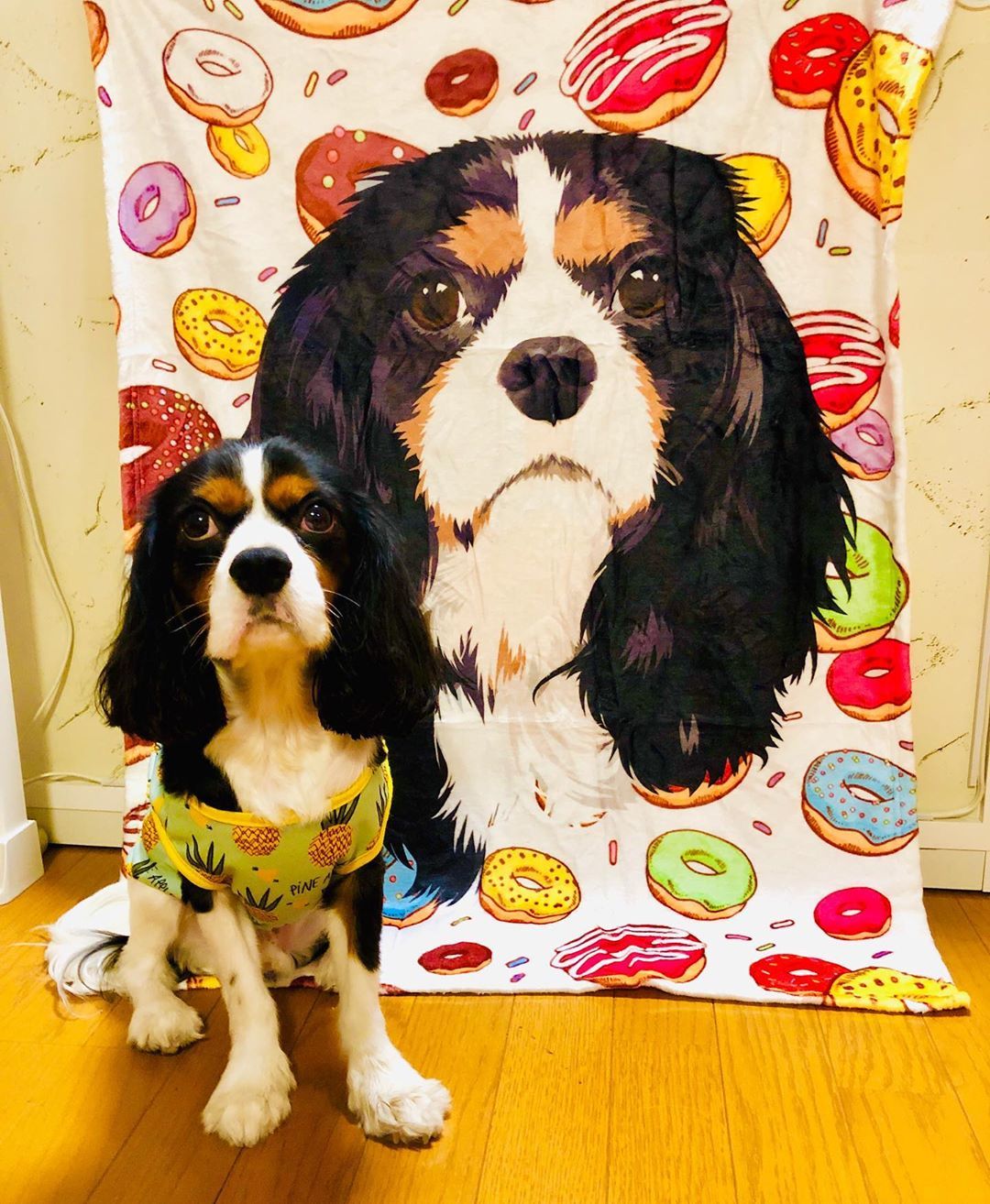 あなたのペットを世界に１つだけのアートブランケット作品に♪ | ペットイラスト | ペット似顔絵 | 犬 猫 うちの子 | 全身絵