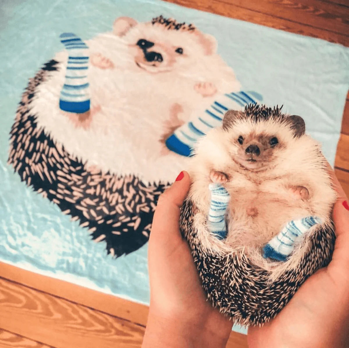 あなたのペットを世界に１つだけのアートブランケット作品に♪ | ペットイラスト | ペット似顔絵 | 犬 猫 うちの子 | 全身絵