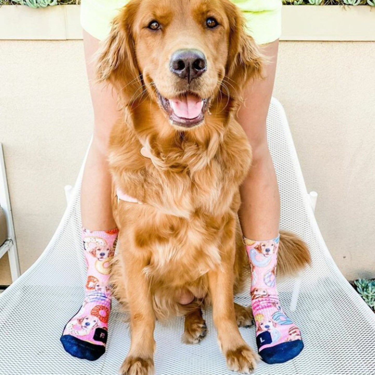 [うちの子グッズ］写真入り靴下 ★☆♪☆犬好きの方☆ペットギフト