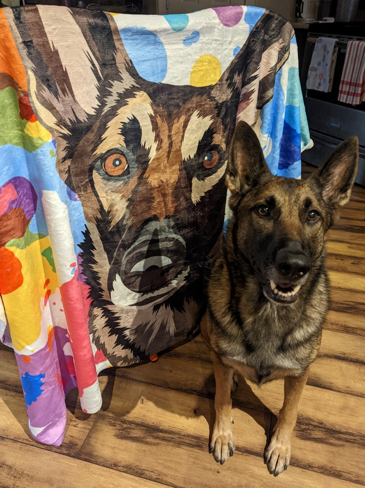 あなたのペットを世界に１つだけのアートブランケット作品に♪ | ペットイラスト | ペット似顔絵 | 犬 猫 うちの子 | 全身絵