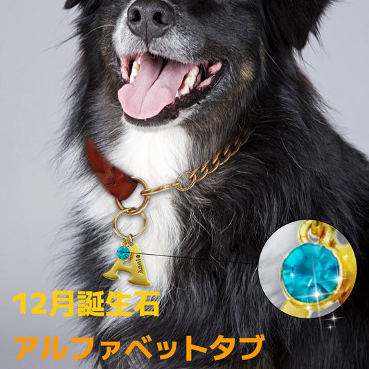 【オーダーメイド】世界に一つ ペット犬 迷子 札・アルファベットtag・うちの子・犬