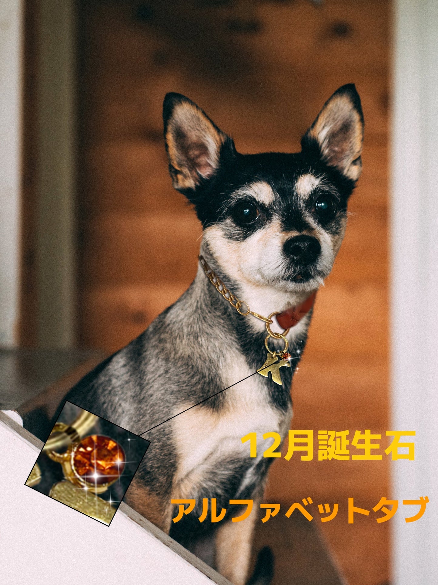 【オーダーメイド】世界に一つ ペット犬 迷子 札・アルファベットtag・うちの子・犬