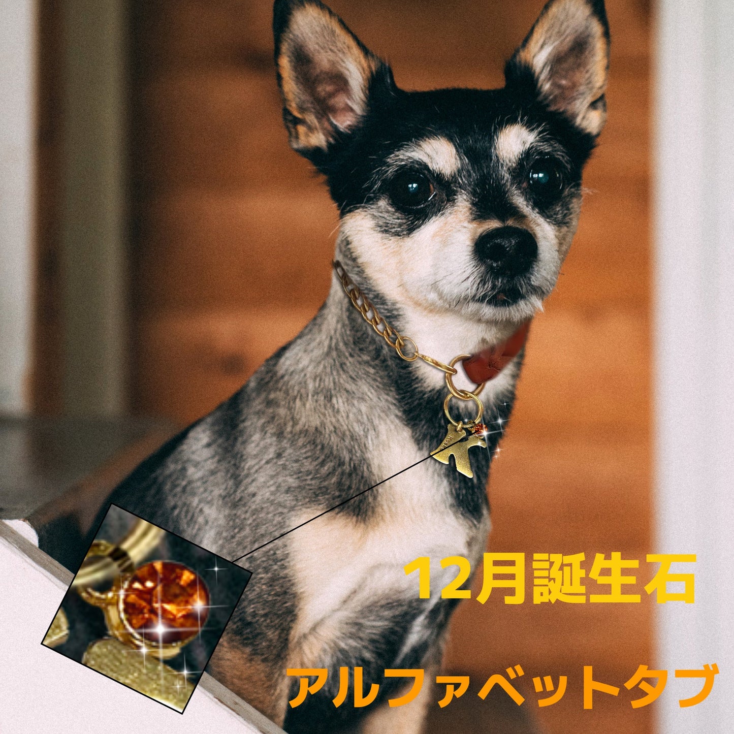 【オーダーメイド】世界に一つ ペット犬 迷子 札・アルファベットtag・うちの子・犬
