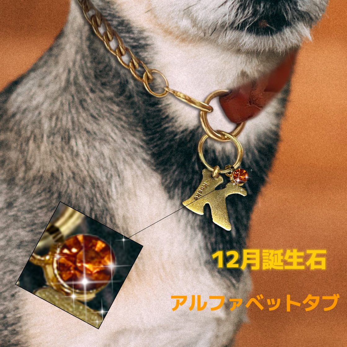 【オーダーメイド】世界に一つ ペット犬 迷子 札・アルファベットtag・うちの子・犬
