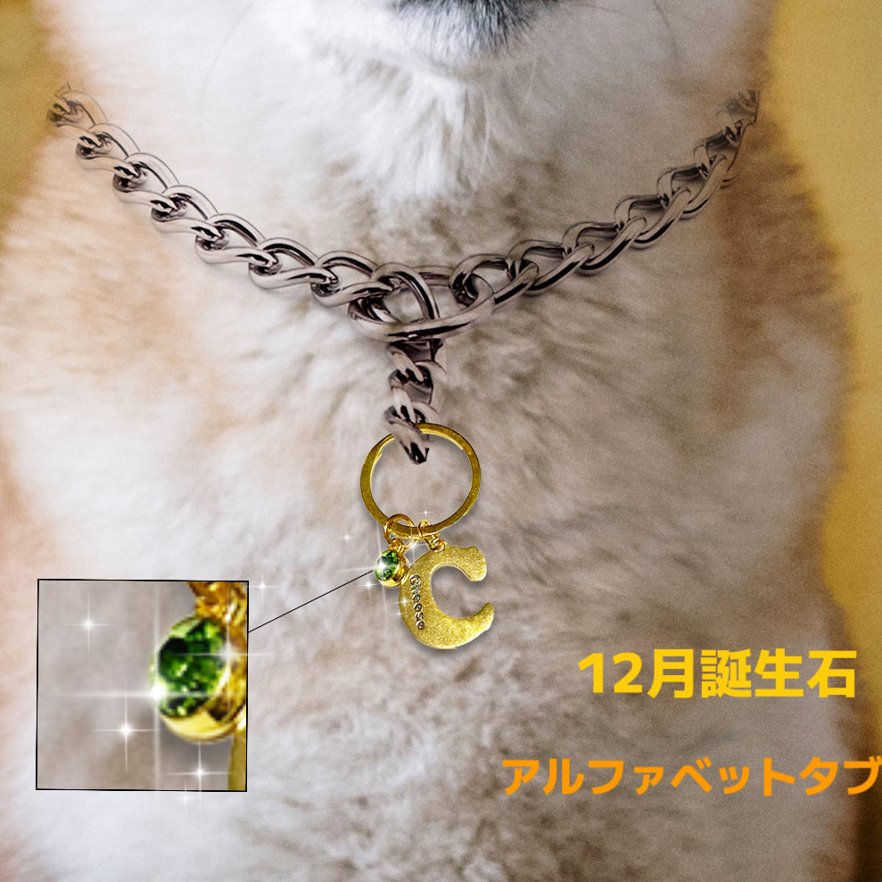 【オーダーメイド】世界に一つ ペット犬 迷子 札・アルファベットtag・うちの子・犬